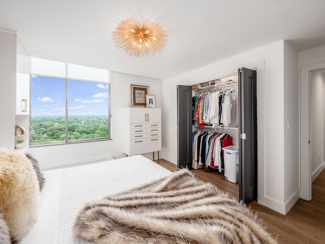 bedroom featuring a closet, baseboards, and wood finished floors