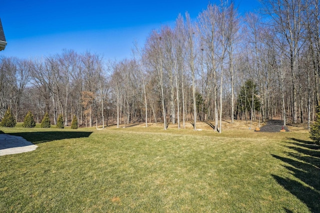 view of yard featuring a forest view