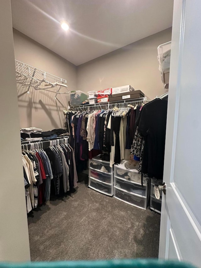 spacious closet featuring carpet floors