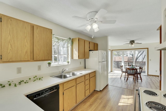 kitchen with white appliances, a healthy amount of sunlight, light countertops, and a sink