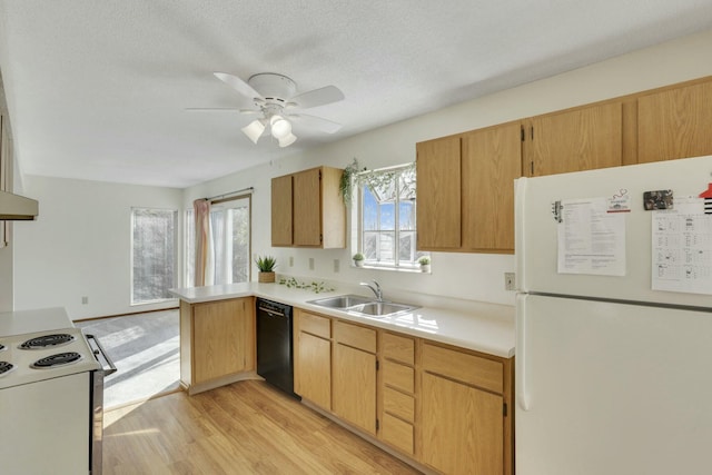 kitchen featuring white appliances, a peninsula, a sink, light countertops, and light wood-style floors