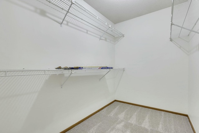 spacious closet with carpet