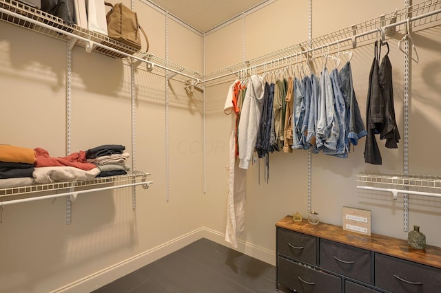 view of spacious closet