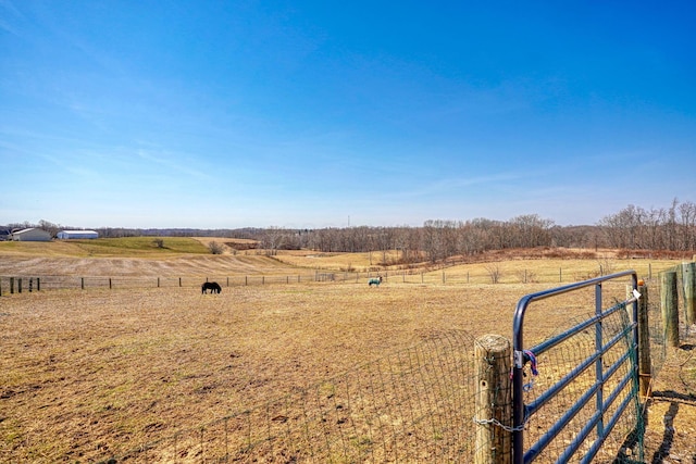 view of yard with a rural view and fence