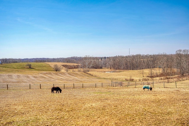 view of yard with a rural view and fence