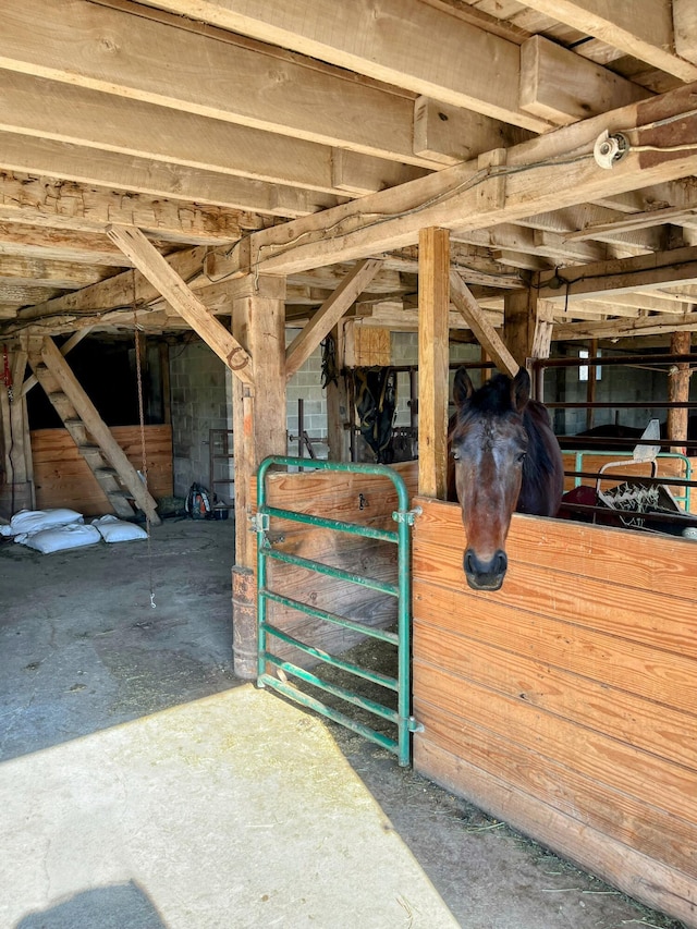 view of stable