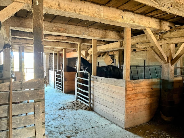 view of stable