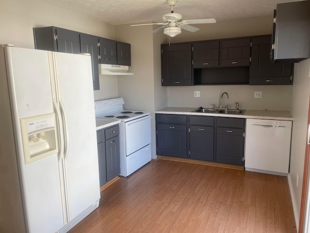 kitchen with light wood finished floors, a sink, under cabinet range hood, white appliances, and light countertops