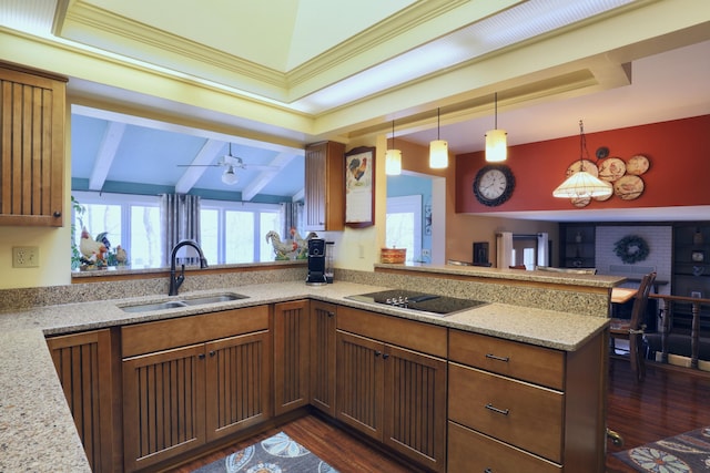 kitchen with a sink, black electric cooktop, light stone counters, and a healthy amount of sunlight