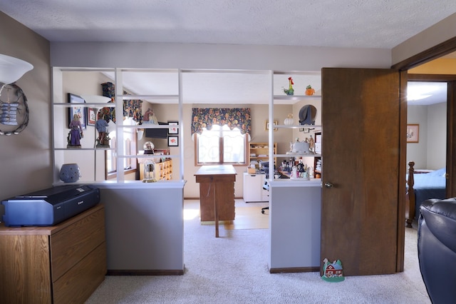 kitchen with open shelves, carpet floors, and a textured ceiling