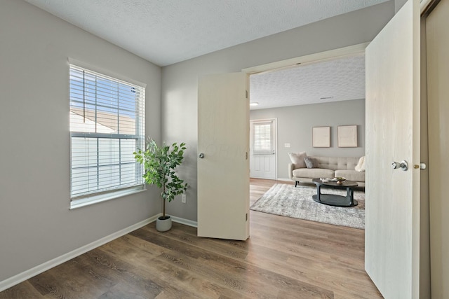 interior space featuring wood finished floors, a wealth of natural light, and a textured ceiling