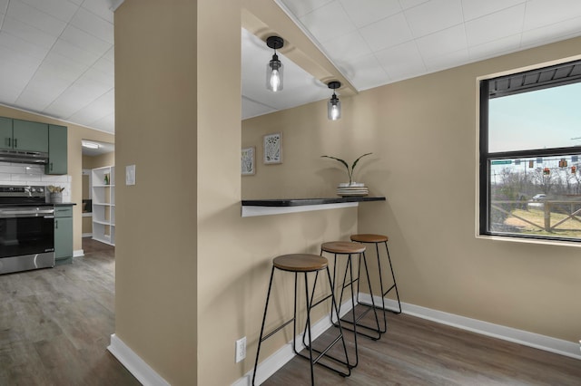 kitchen with wood finished floors, electric range, under cabinet range hood, green cabinets, and tasteful backsplash