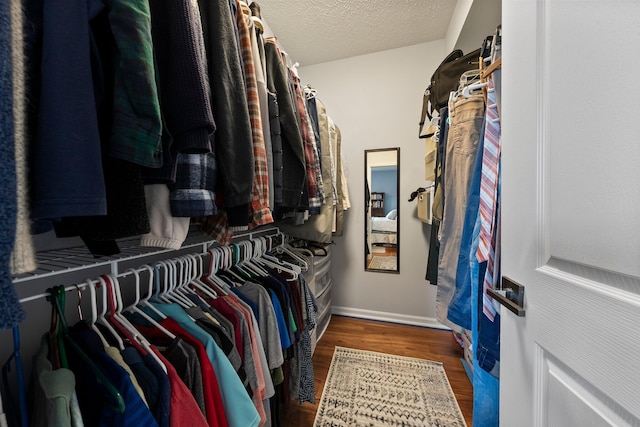 walk in closet featuring wood finished floors