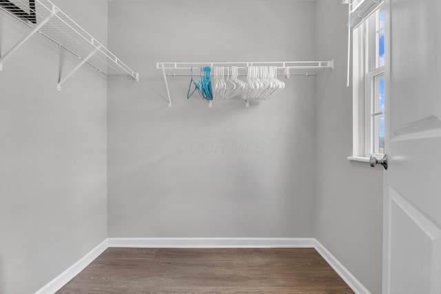 walk in closet with wood finished floors