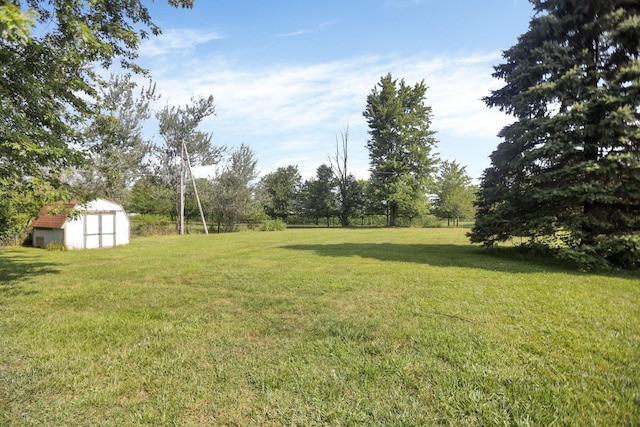 view of yard with a storage shed and an outdoor structure