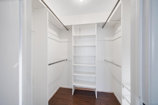 walk in closet with dark wood-style floors