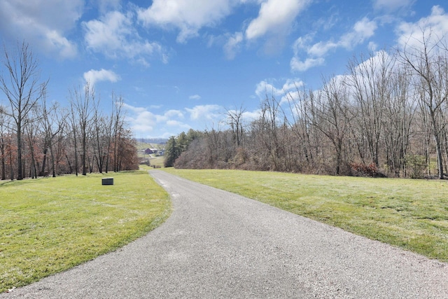 view of road with a wooded view