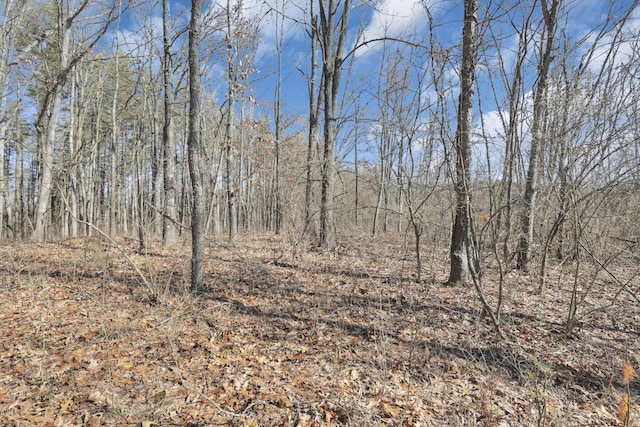 view of landscape with a view of trees