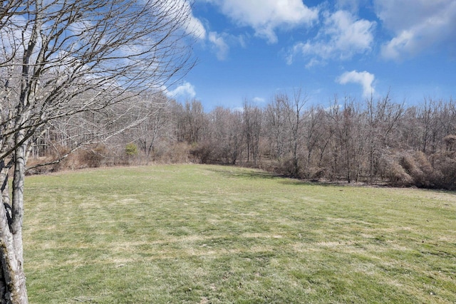 view of yard featuring a forest view