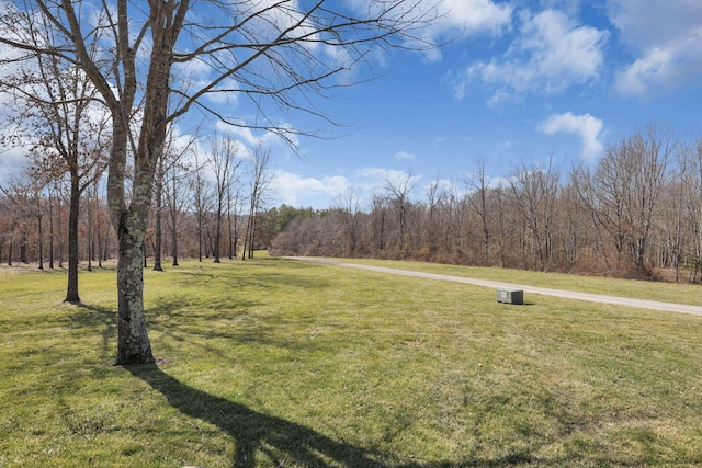 view of yard with a wooded view