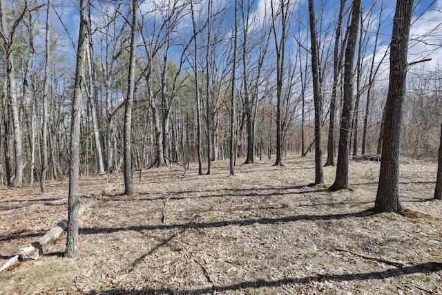 view of landscape featuring a forest view