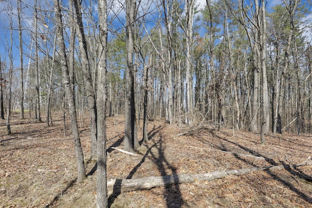 view of landscape featuring a view of trees