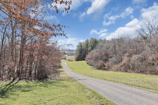 view of road