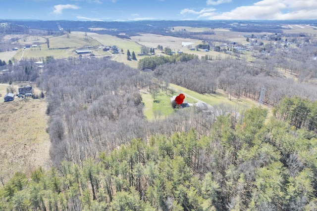 drone / aerial view with a rural view and a wooded view