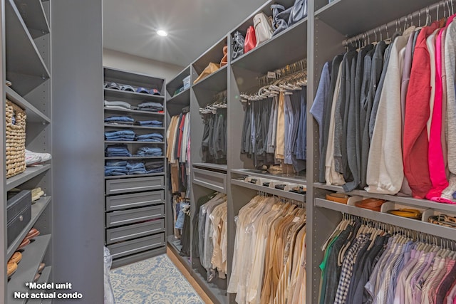 view of spacious closet