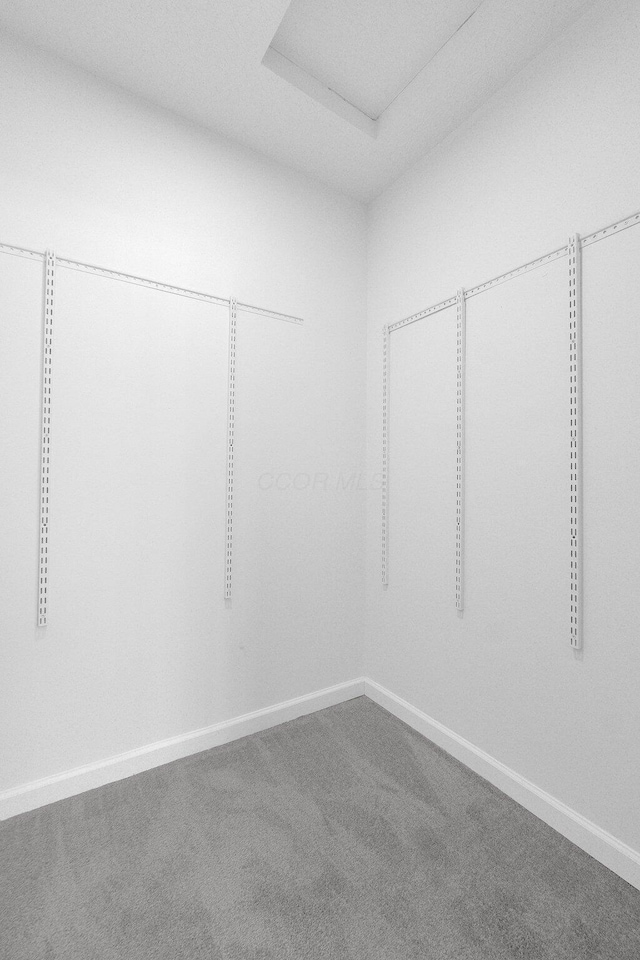 unfurnished room with baseboards and carpet flooring