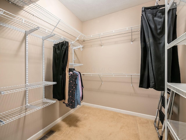 walk in closet with carpet floors