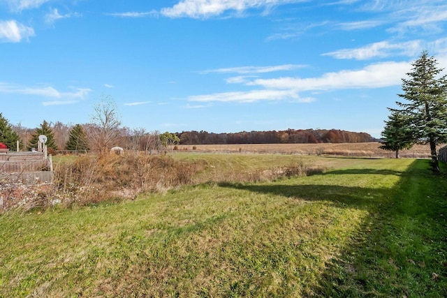 view of yard with a rural view
