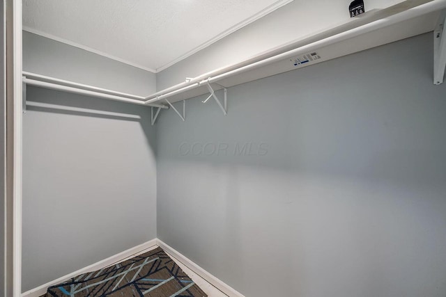 view of walk in closet