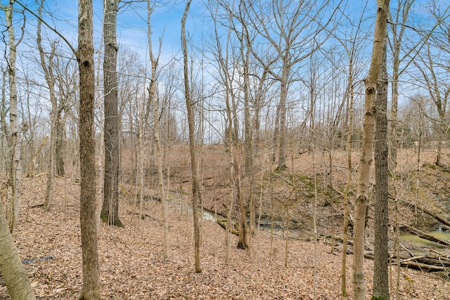 view of local wilderness