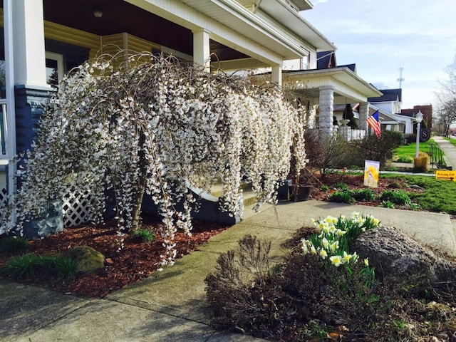 view of home's exterior