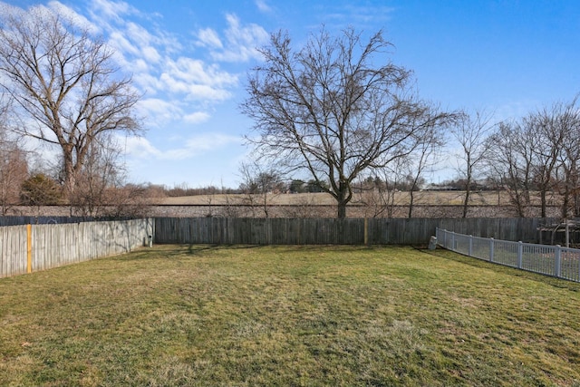 view of yard featuring a fenced backyard