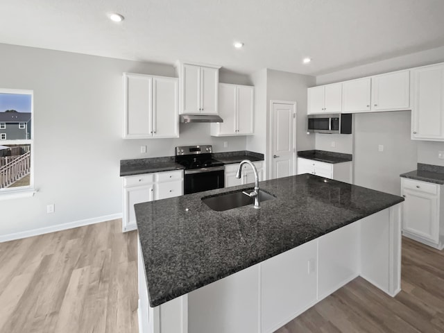 kitchen with under cabinet range hood, light wood-style flooring, stainless steel appliances, and a sink