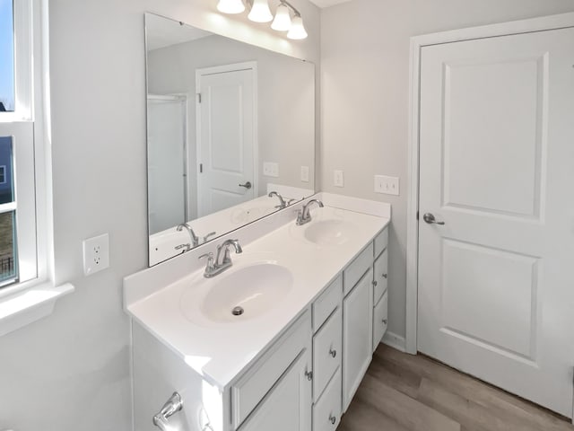 bathroom featuring a sink, wood finished floors, and double vanity