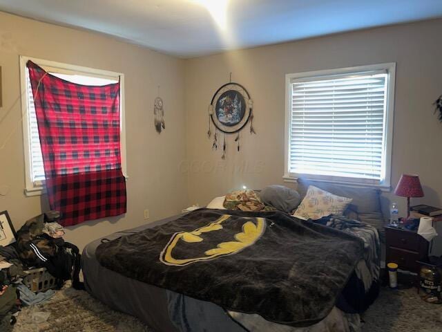 view of carpeted bedroom