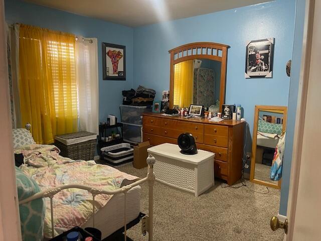 bedroom with carpet flooring