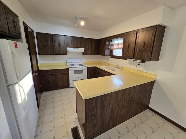 kitchen with under cabinet range hood, a sink, white appliances, dark brown cabinetry, and light floors