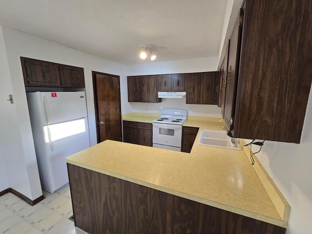 kitchen with under cabinet range hood, dark brown cabinets, white appliances, and a sink