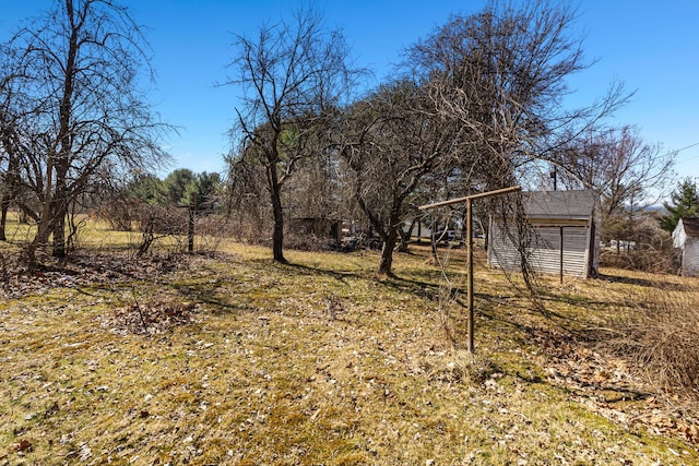 view of yard featuring an outdoor structure