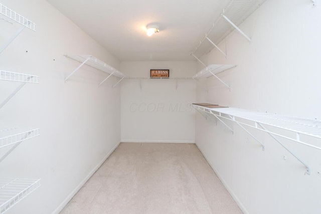 spacious closet featuring light carpet