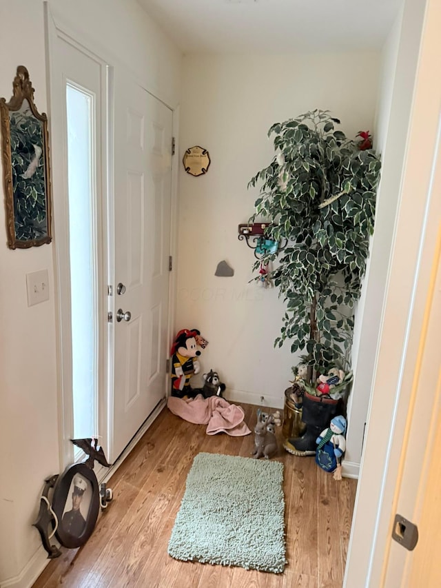 foyer entrance with wood finished floors