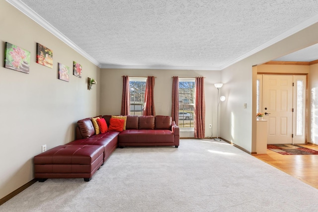 carpeted living area featuring crown molding, baseboards, and a textured ceiling