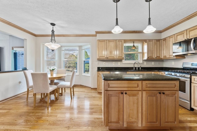 kitchen featuring a sink, crown molding, light wood-type flooring, and stainless steel appliances