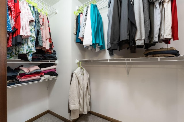 view of spacious closet