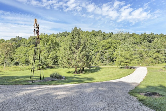 view of property's community featuring a lawn and a view of trees