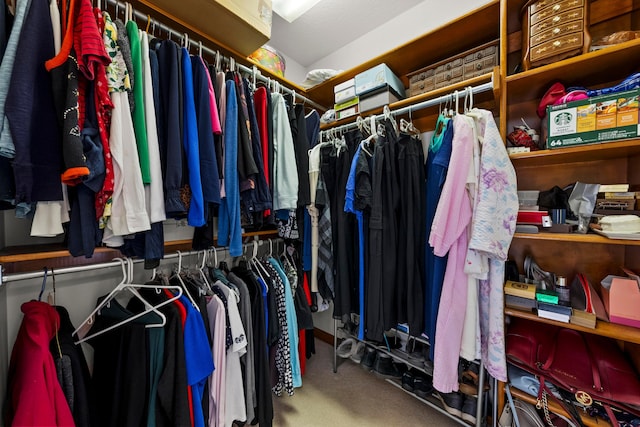 spacious closet with carpet flooring